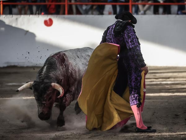 Lucido en los quites