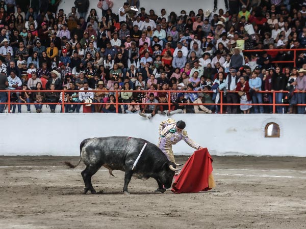 Gran respuesta de la afici�n