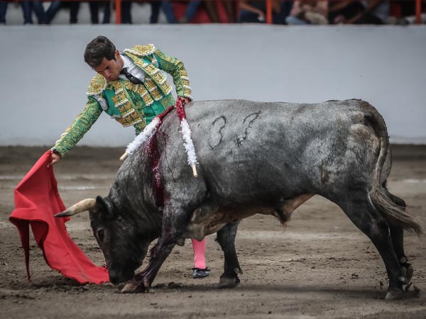 Bueno por el pit�n derecho