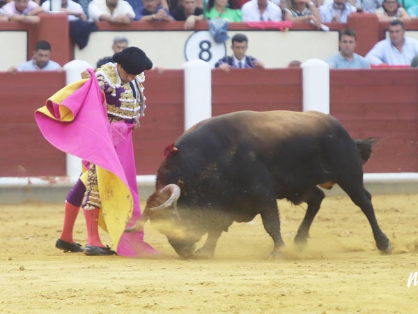 Ver�nicas del mexicano