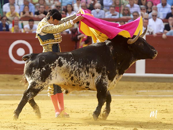 Por los lomos del burraco