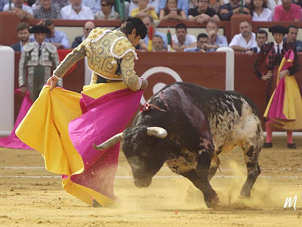 Chicuelinas en el quite