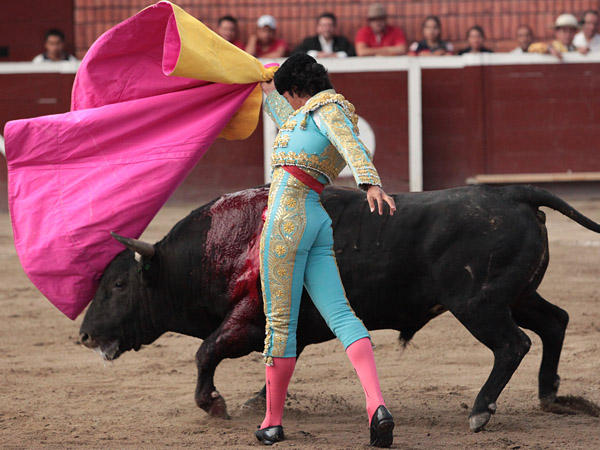 La brionesa de Israel T�llez