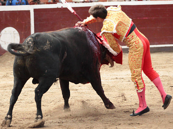 Un ca��n con el acero