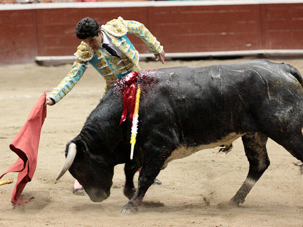 Intentando el toricantano