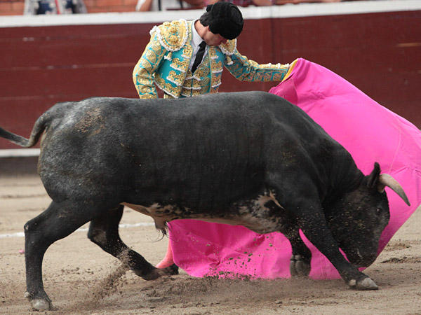 Bien a la ver�nica