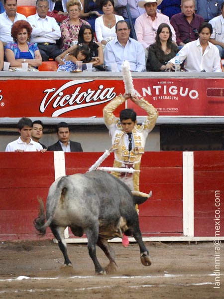 En la cara del ejemplar