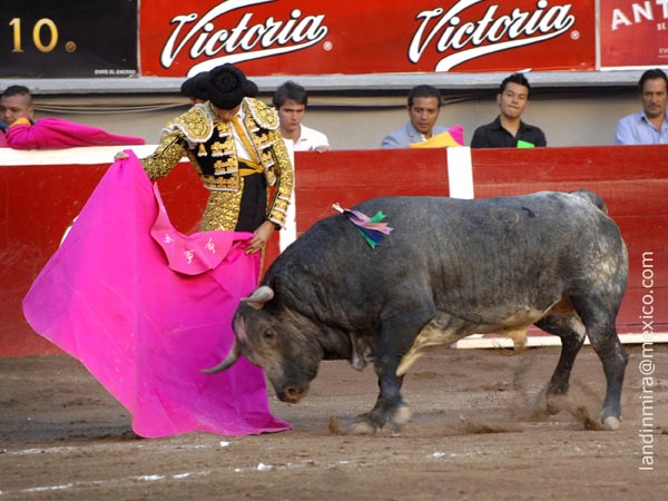 Ochoa con el cuarto de la tarde