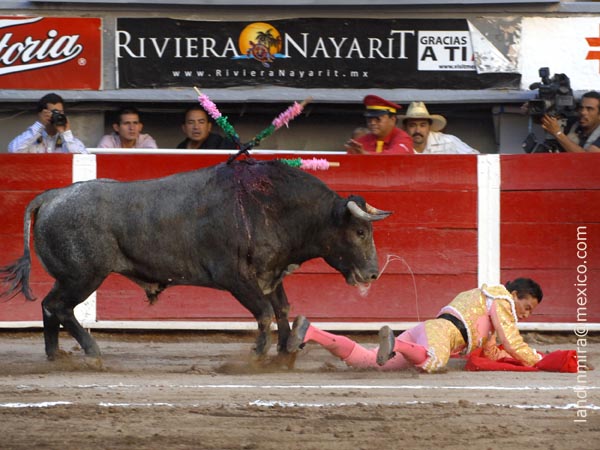 En el suelo, tambi�n lo trinc�