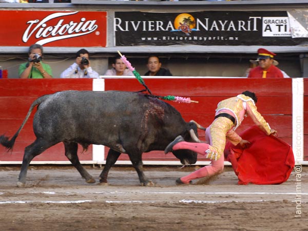 Dos cornadas, dos trayectorias