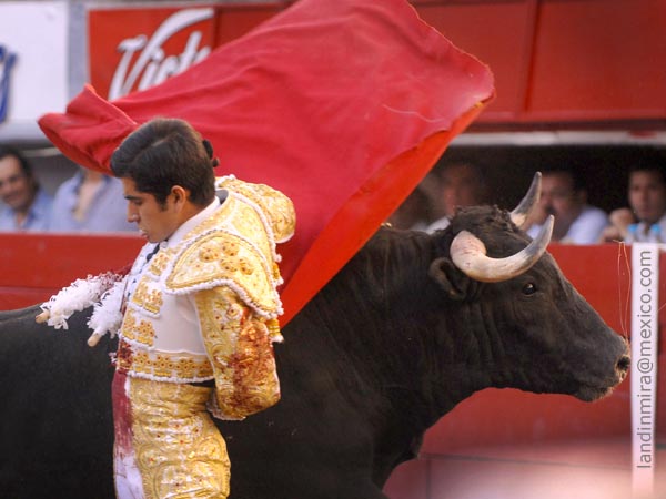 Preparando la muerte