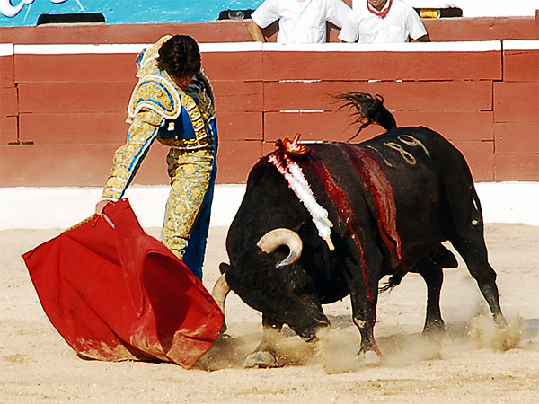 Estupendo momento de Sebasti�n