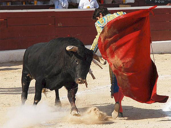 Variedad del franc�s