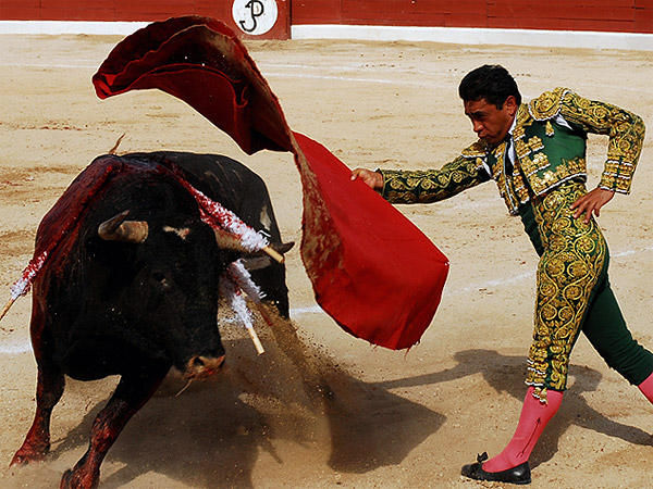 Reciedumbre de Eulalio