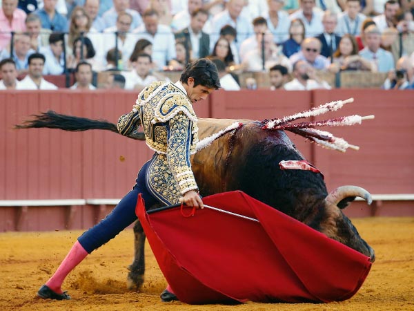 Sometiendo al casta�o