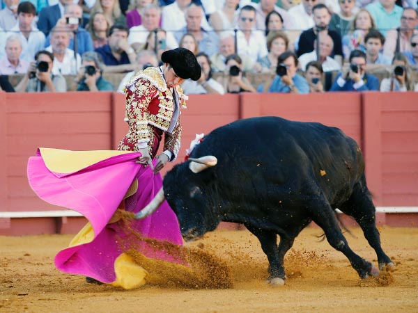 La triunfal carrera llega a su fin