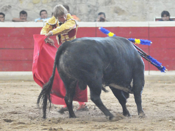 Elegante cambiado de mano