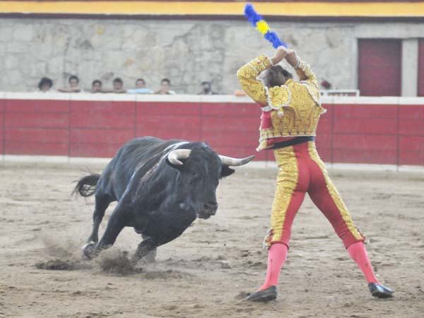 Tambi�n coloca banderillas