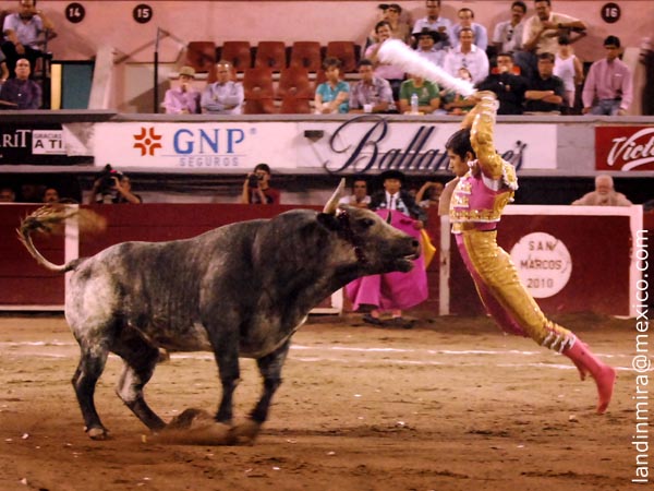 Adame luci� en rehiletes