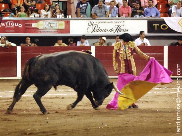 Barba con el s�ptimo