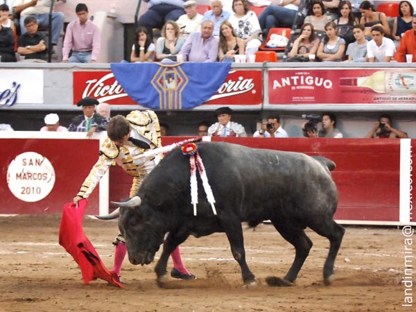 Entendi� a un buen toro