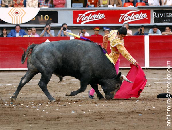 La montera en el suelo