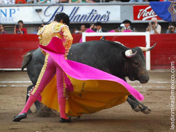 Jaleado en los quites