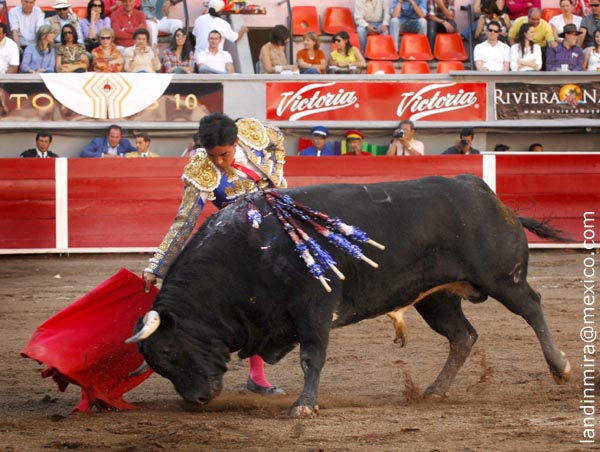 De nuevo por la diestra