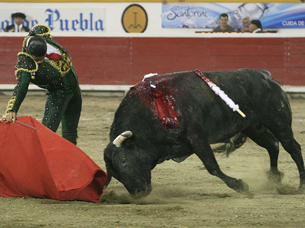 Mateos saco muletazos de valor