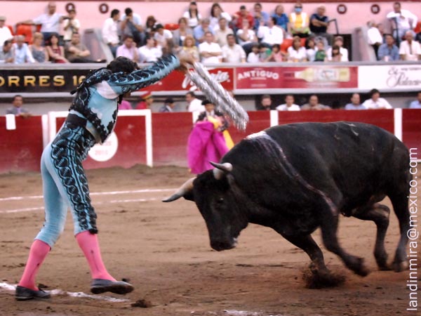 Adornando el morrillo