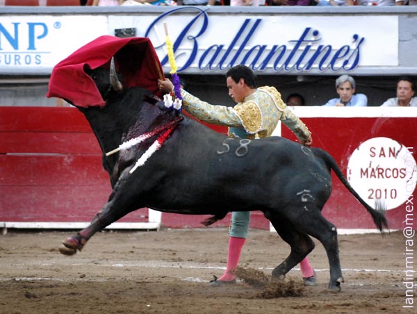 Desahogando por alto