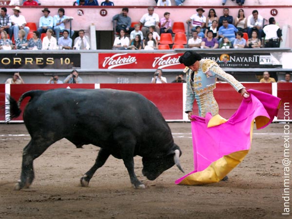 Cadencia en los brazos