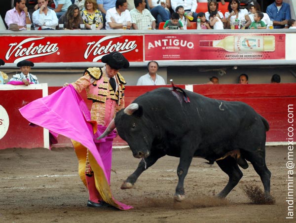 Antonio Barrera a la ver�nica