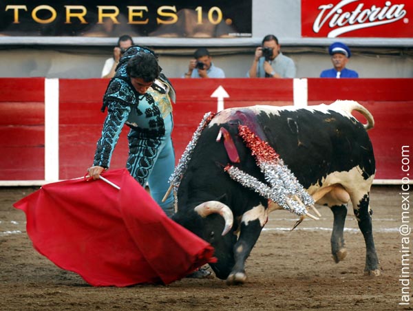 Derechazos al berrendo