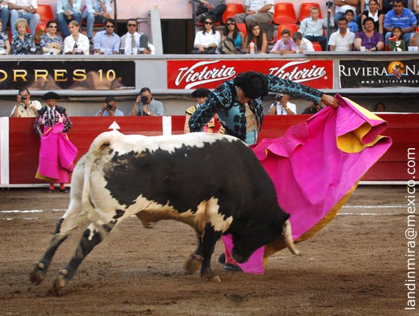 Navarras en el quite