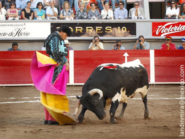 La media de Juan Antonio Adame