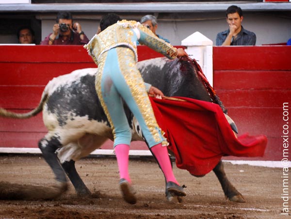 Lleg� con un ca��n en el brazo