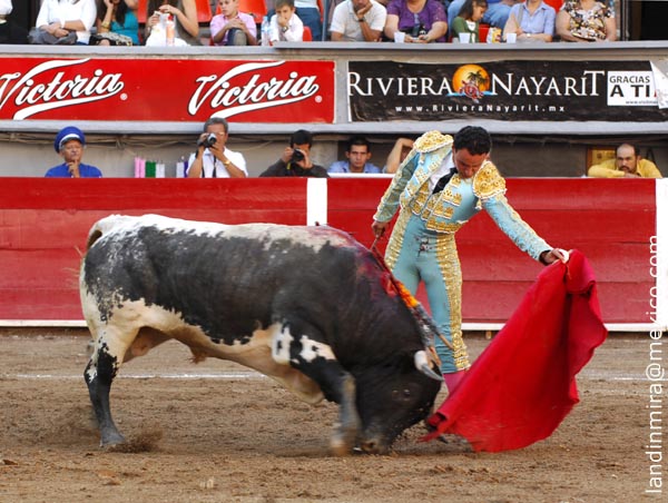 Muleta de terciopelo