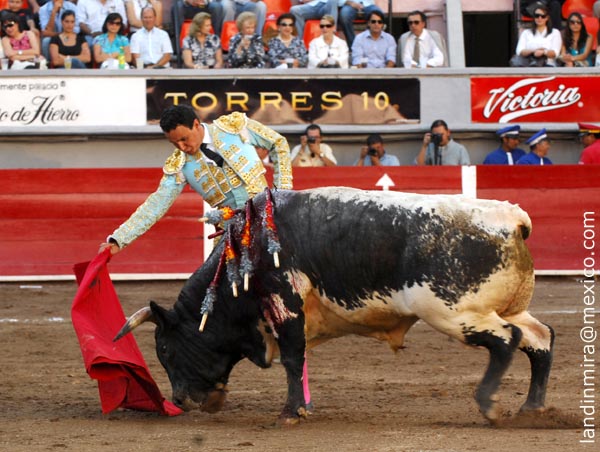 Disfrutando la faena