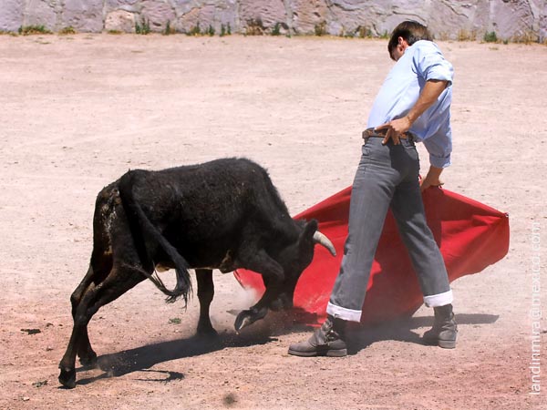Barba se dio gusto toreando