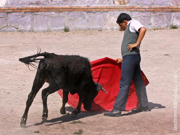 La derecha de Montes