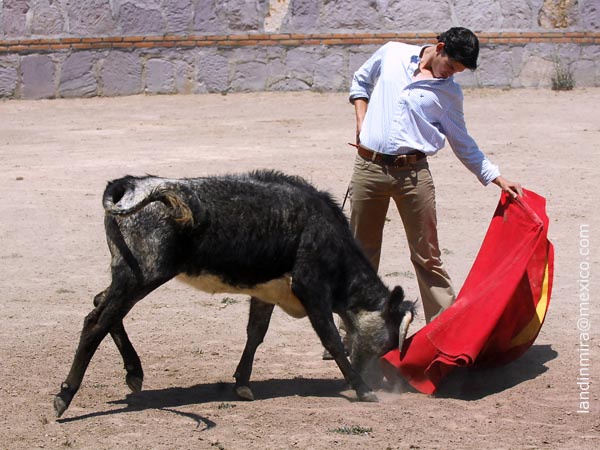 Natural de Marco Orozco