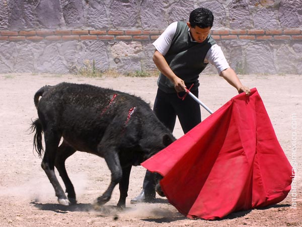 Ayudados de Jos Manuel Montes