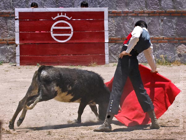 La muleta de Csar Delgadillo