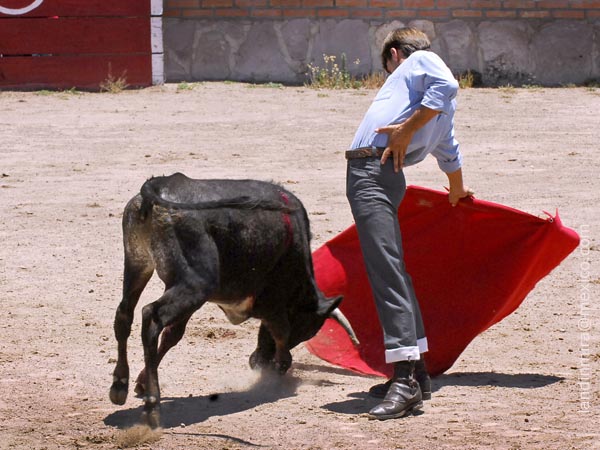 Fabin Barba, dirigi la lidia