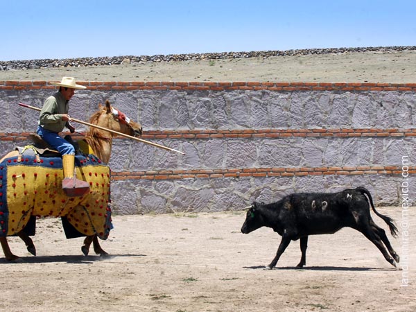 Nono Cobos prueba la primera