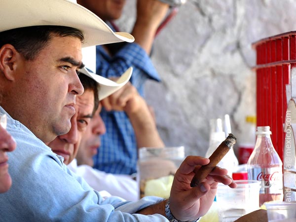 Ojo avisor del ganadero