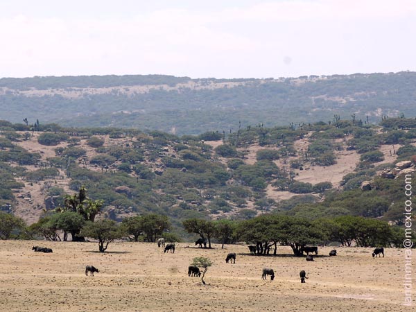 San Jos de Gracia, hermoso paraje