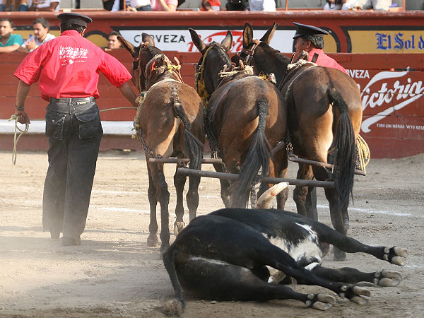 Lento al de Magdalena Iturbe