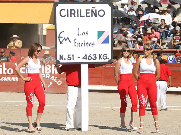 Bella manera de anunciar